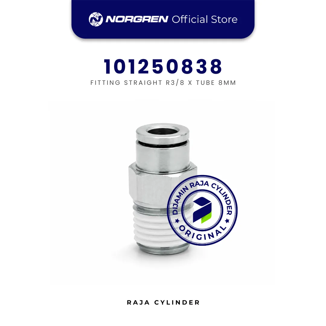 NORGREN 101250838 Pneufit 10 Straight Male Connector R3/8 x 8mm Push In Original
