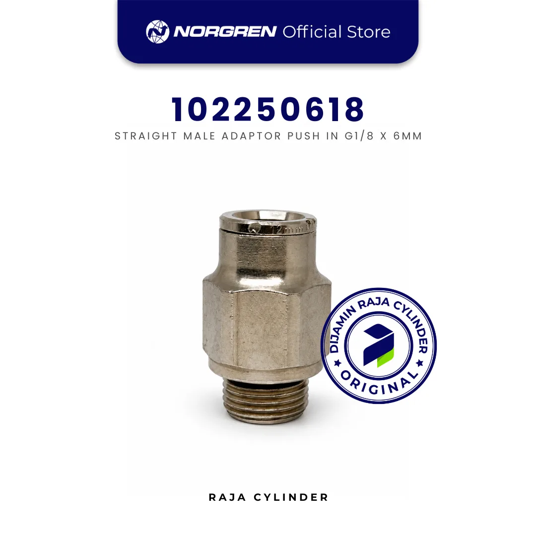 NORGREN 102250618 Pneufit Push In Straight Male Adapter G1/8 Tube 6mm Original